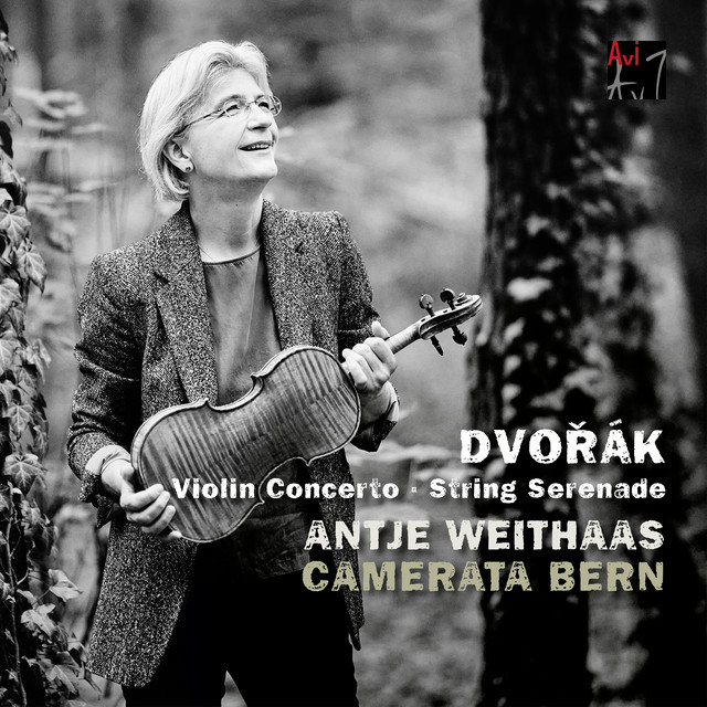Serenade for Strings, Op. 22, B. 52: I. Moderato
