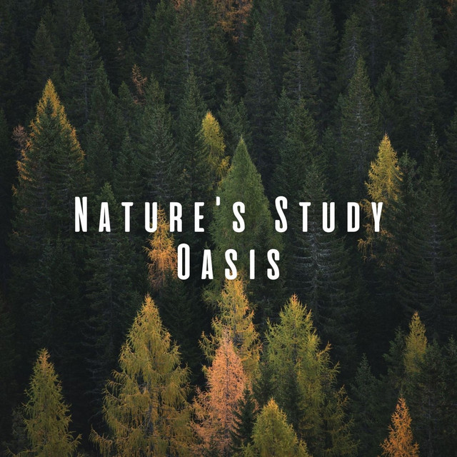 Nature's Study Oasis: Relaxing Sounds for Concentration and Learning cover art