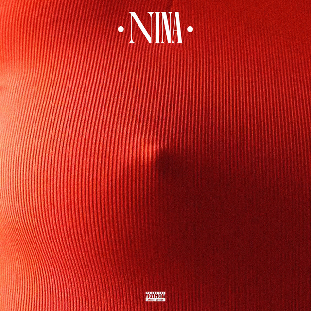 NINA cover art
