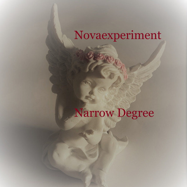 Narrow Degree cover art