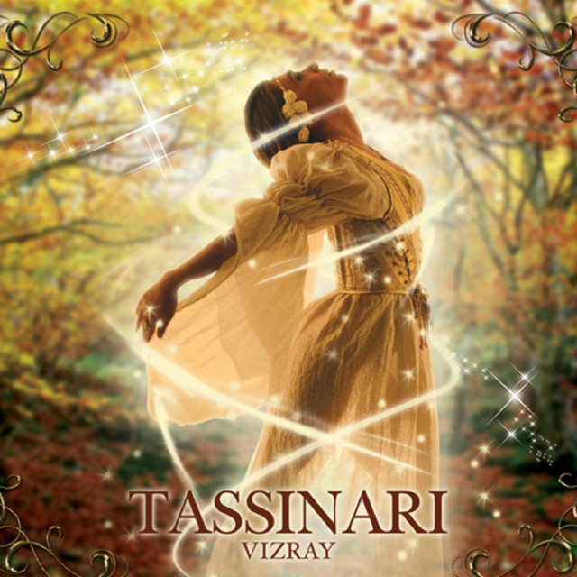 Vizray cover art