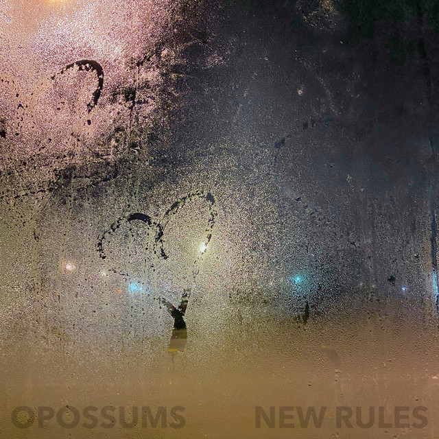 New Rules cover