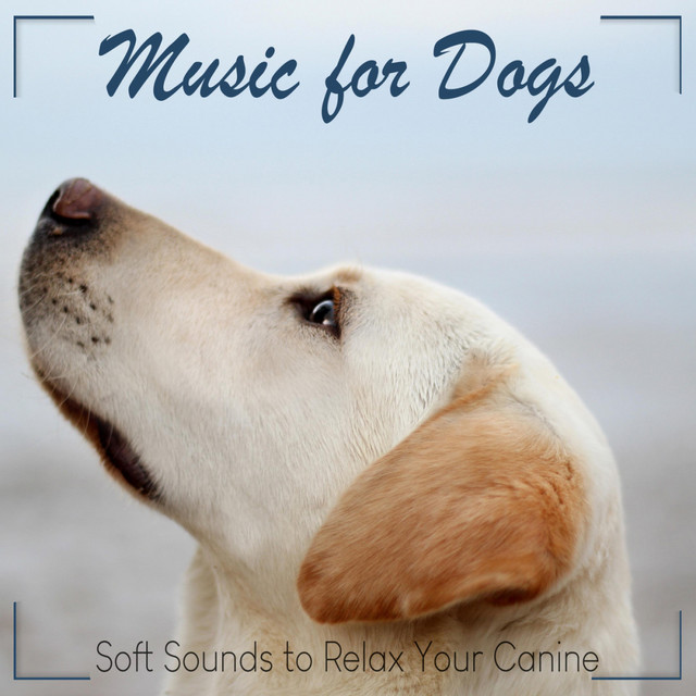 Music for Dogs: Soft Sounds to Relax Your Canine cover art