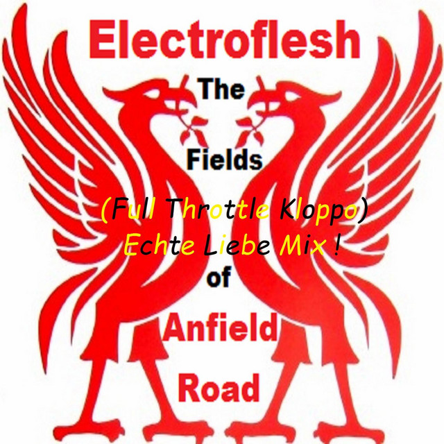 The Fields of Anfield Road (Full Throttle Kloppo Echte Liebe Mix) cover