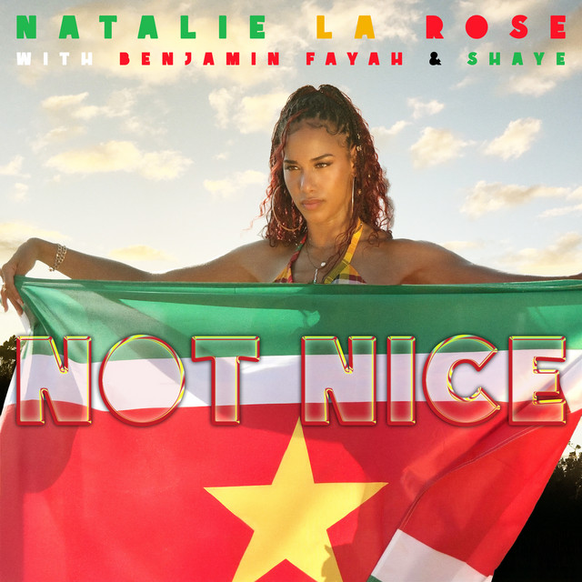 Album cover for NOT NICE by Natalie La Rose