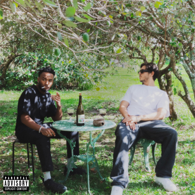 THE CURIOUS CASE OF BILL & SLIM cover art