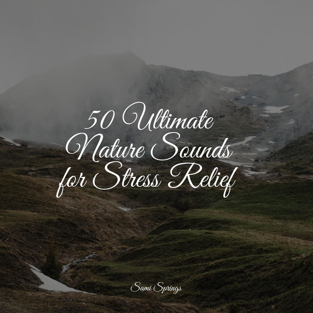 50 Ultimate Nature Sounds for Stress Relief - Album by Elements of ...