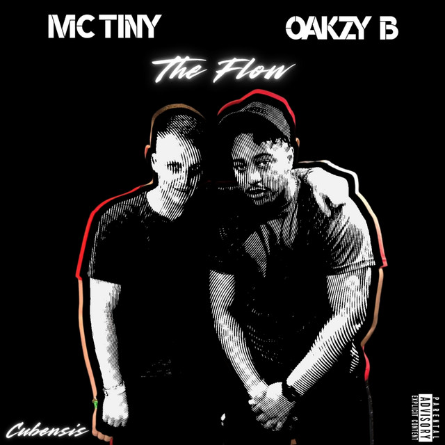 The Flow cover art
