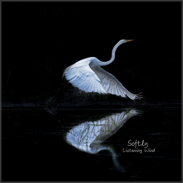 Softly cover
