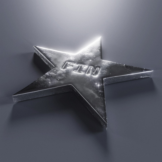FIN cover art