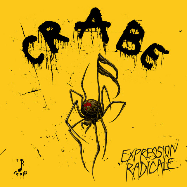 Expression radicale cover art