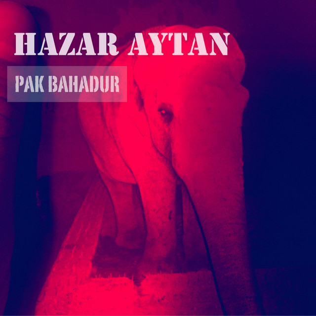 Pak Bahadur cover art