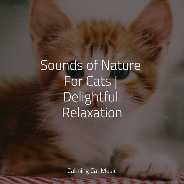 Sounds of Nature For Cats | Delightful Relaxation - Album by Music for ...