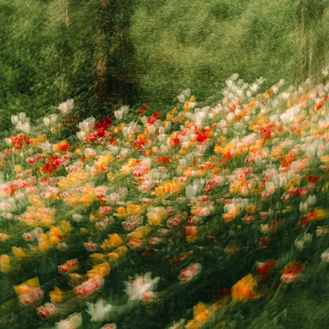 may