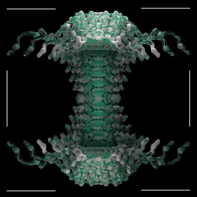 Cave Diving (Stones Taro Remix) cover art