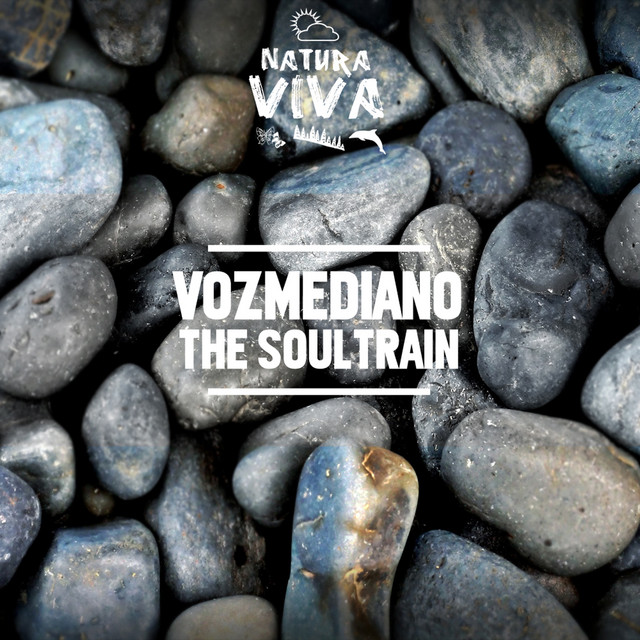The SoulTrain cover art