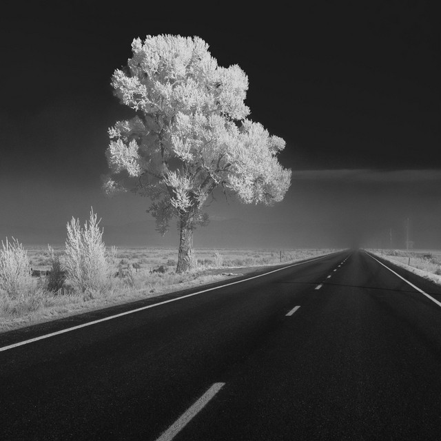 Roads cover art