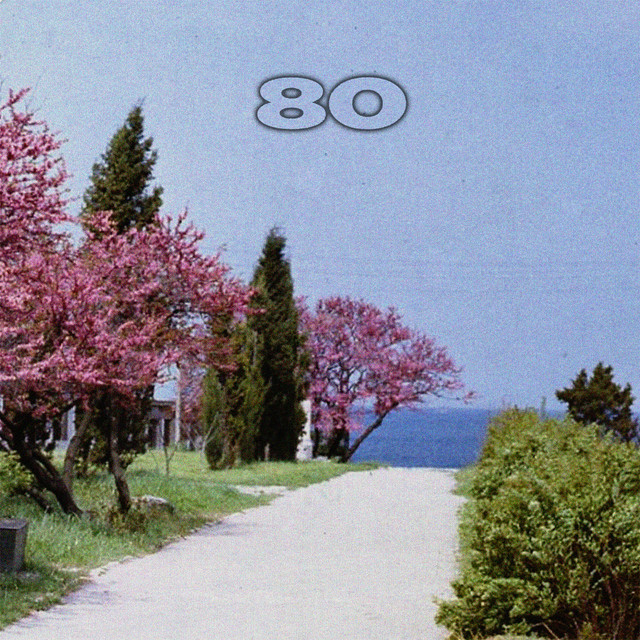 80 cover