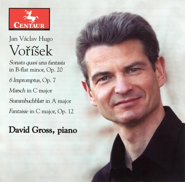 Vorisek: Piano Sonata, Op. 20 / 6 Impromptus / March in C major / Stammbuchblatt in A major / Fantasie, Op. 12 cover art