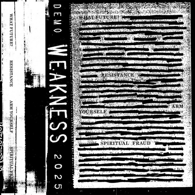 DEMO 2025 cover art