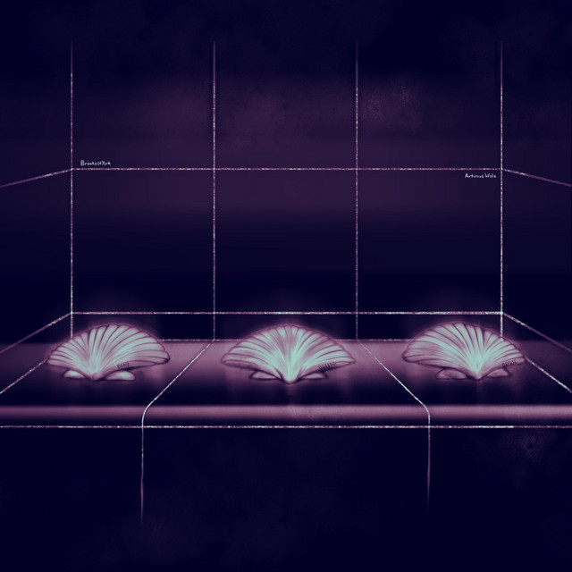3 Shells cover art
