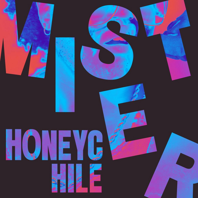 Mister cover art