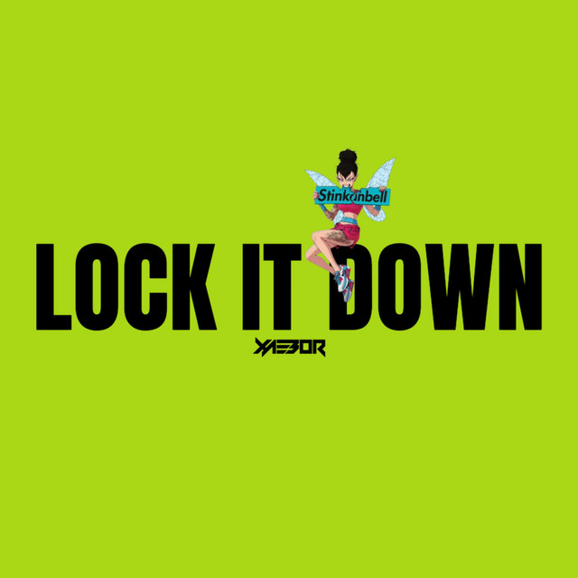 LOCK IT DOWN cover