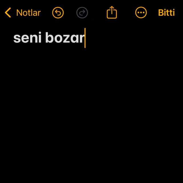 Seni Bozar