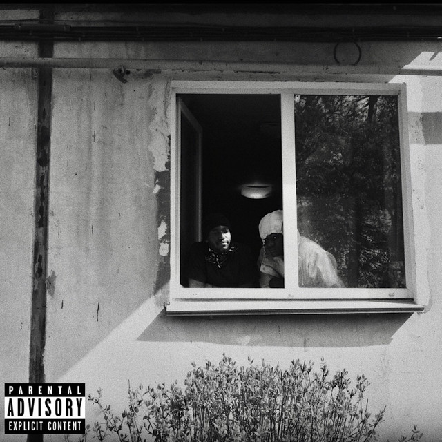 Peek cover art