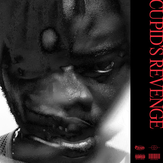 Cupid's Revenge cover art