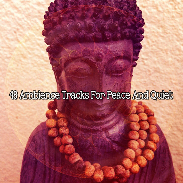 48 Ambience Tracks For Peace And Quiet cover art