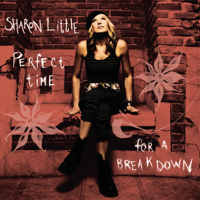 Perfect Time for a Breakdown cover art