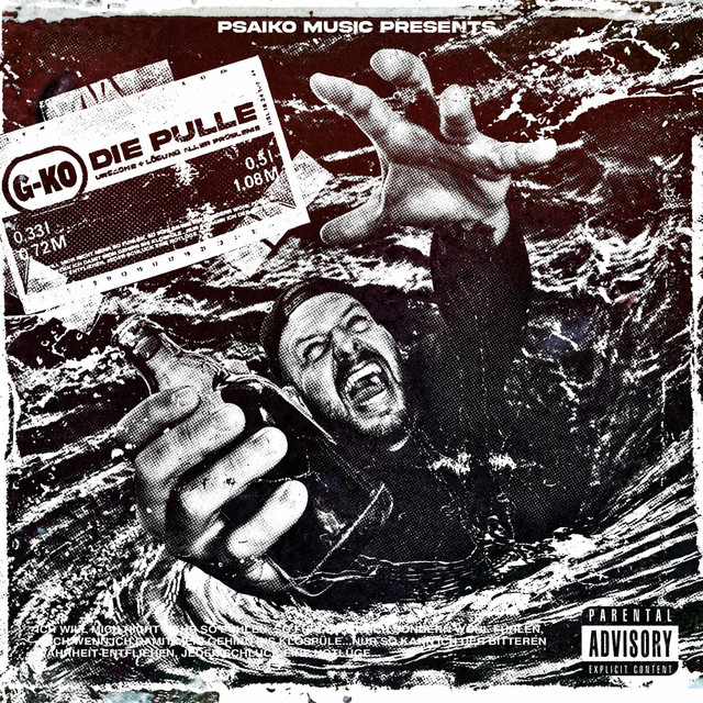 Die Pulle cover art