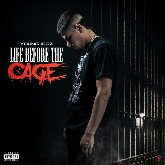 Life Before The Cage album image