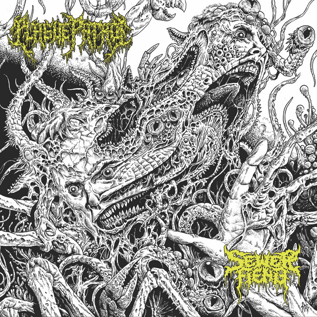 Split cover