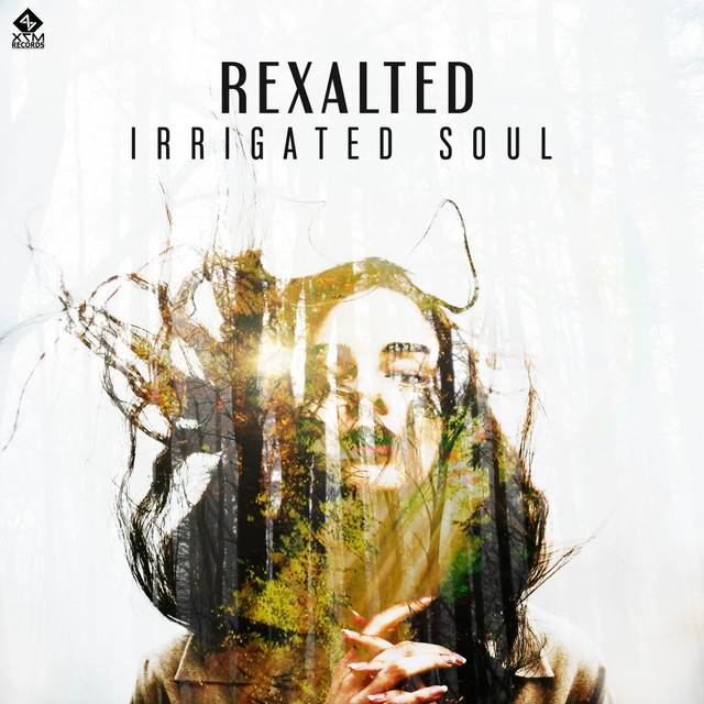 Irrigated Soul album art