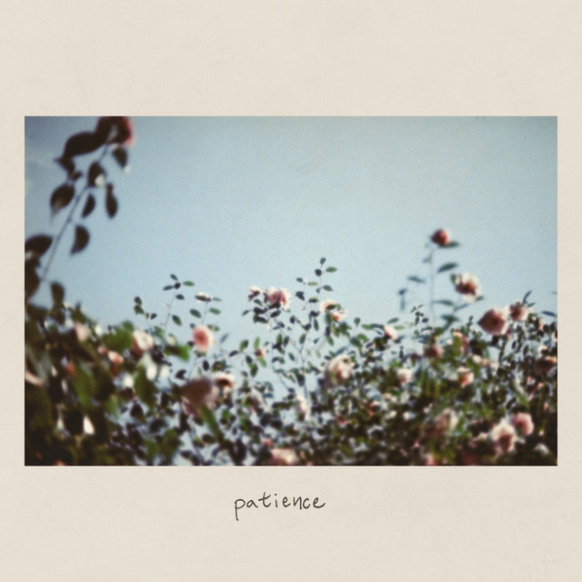 Patience cover