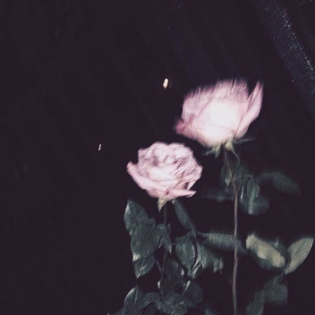 Obsessed (Cerebral) cover art
