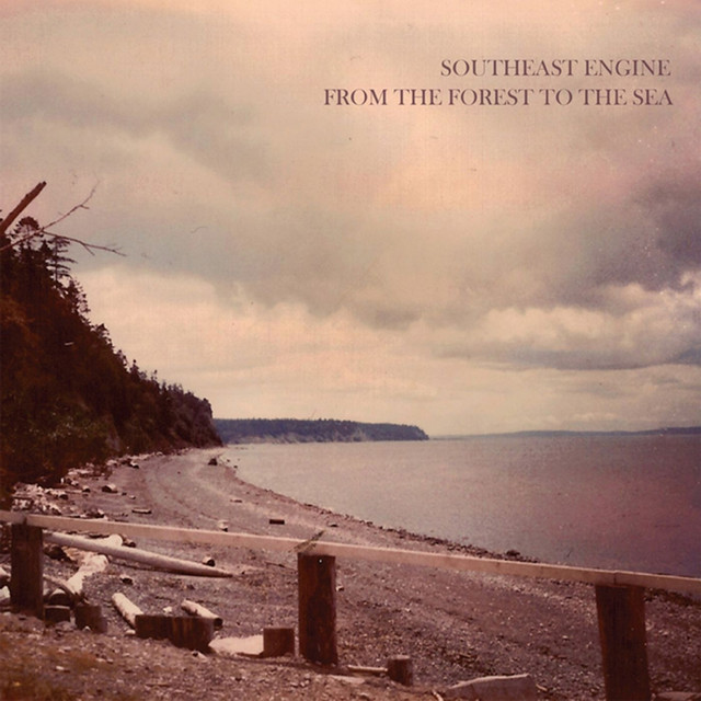 From the Forest to the Sea cover art