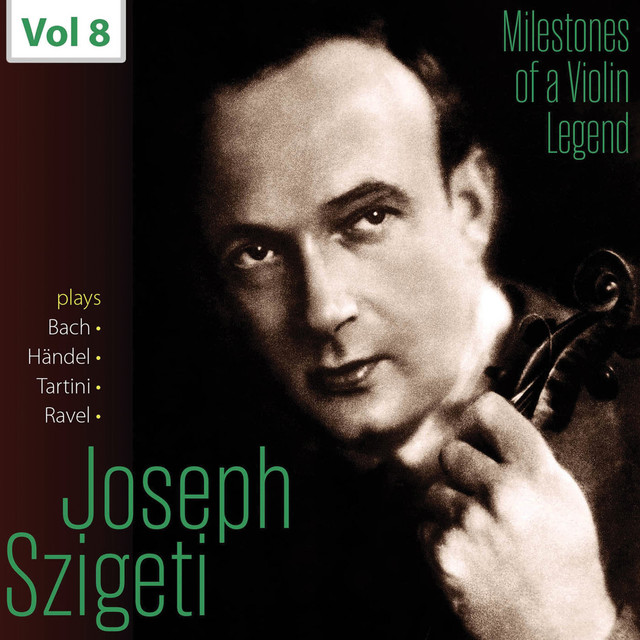 Violin Sonata in D Major, Op. 1 No. 13, HWV 371: II. Allegro