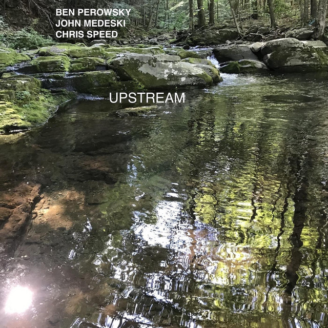 Upstream cover