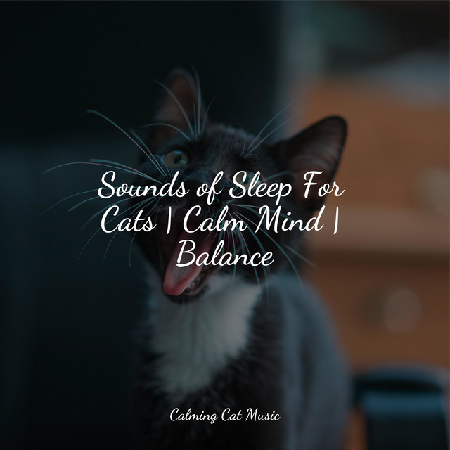 Sounds of Sleep For Cats | Calm Mind | Balance - Album by Jazz Music ...