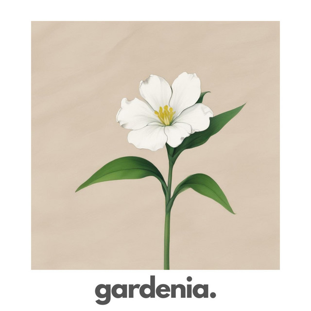gardenia cover art
