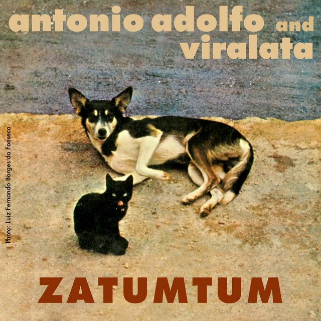 Antonio Adolfo and Viralata