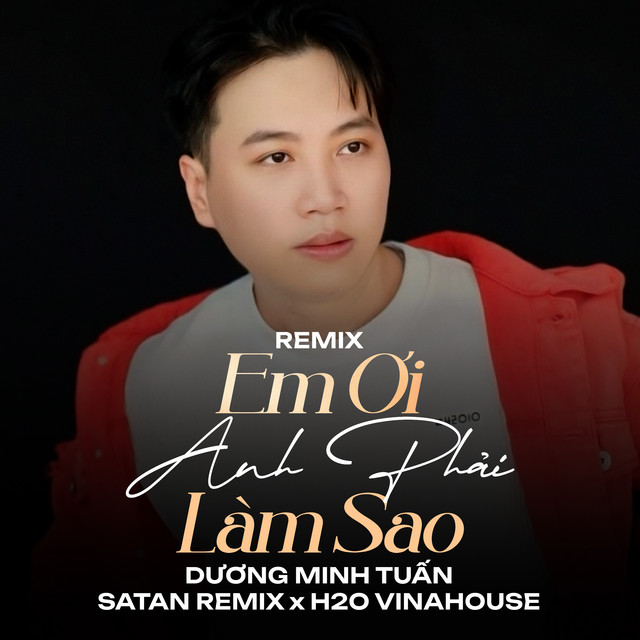 Em Ơi Anh Phải Làm Sao (Remix)
