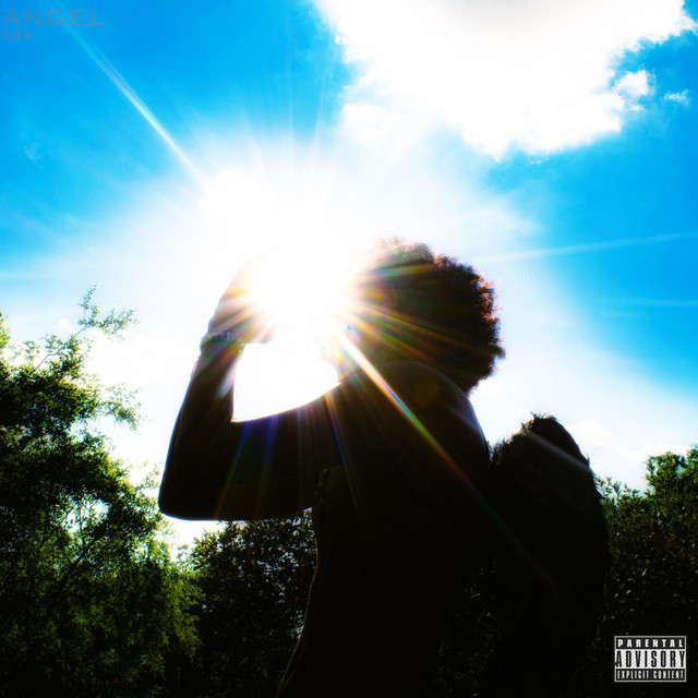 {blank} cover art