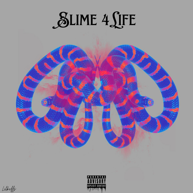 Slime 4 Life cover art