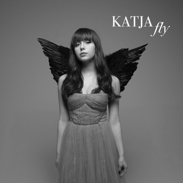 fly cover art