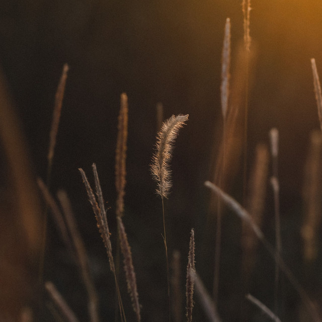 Deep Sleep Music | Ambient Music cover art