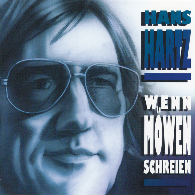 Wenn Möwen schreien cover